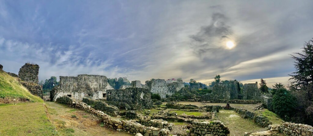 bagdonas marketing agency, სრული მარკეტინგული მომსახურება ,ფოტო/ ვიდეო გადაღება