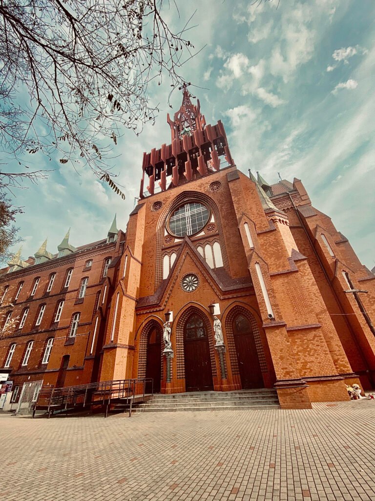 bagdonas marketing agency, სრული მარკეტინგული მომსახურება ,ფოტო/ ვიდეო გადაღება