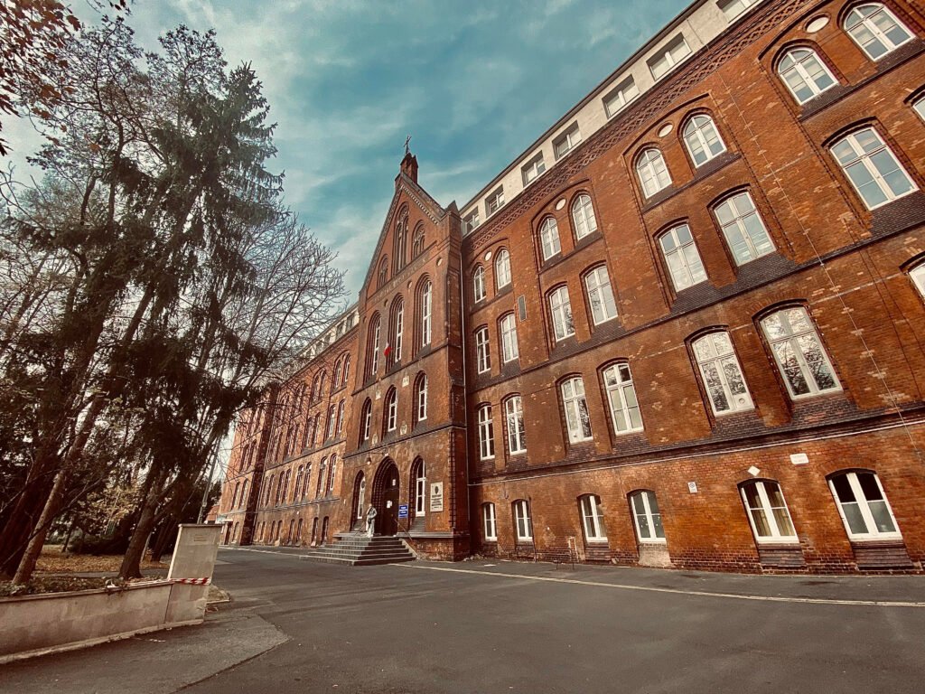 bagdonas marketing agency, სრული მარკეტინგული მომსახურება ,ფოტო/ ვიდეო გადაღება