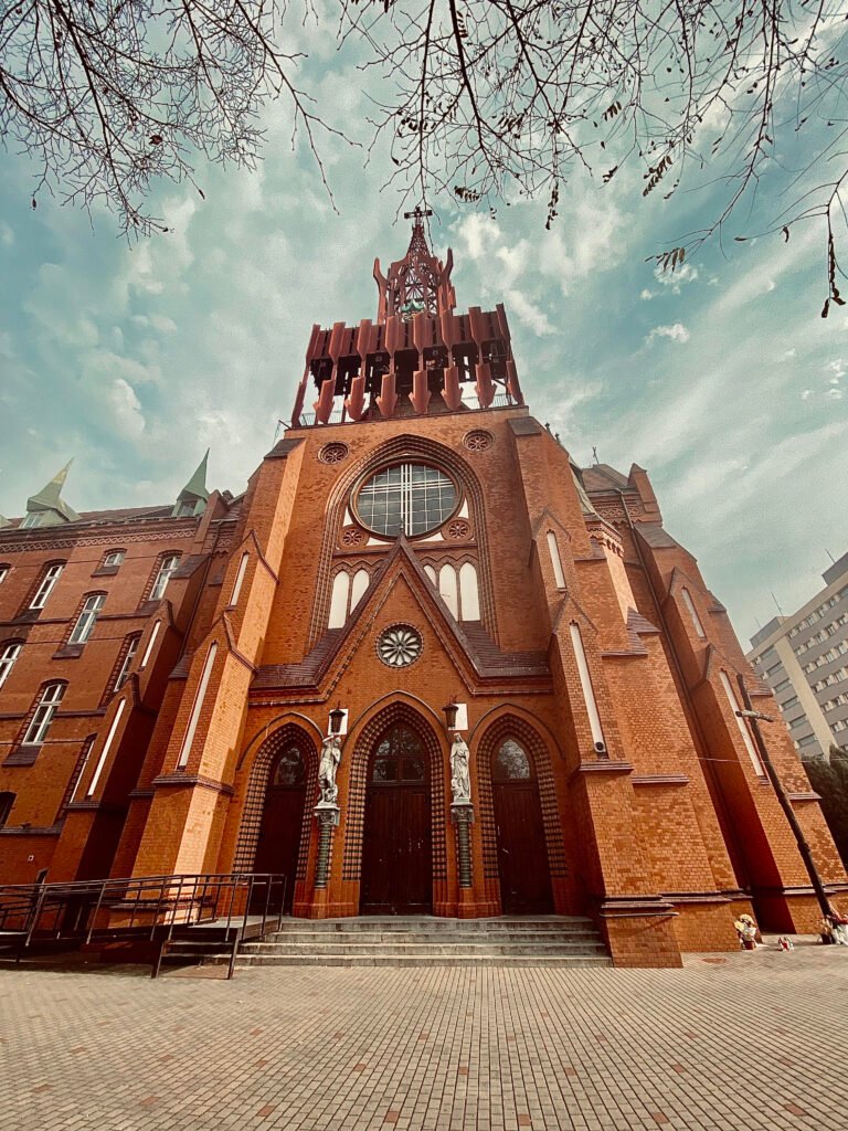 bagdonas marketing agency, სრული მარკეტინგული მომსახურება ,ფოტო/ ვიდეო გადაღება