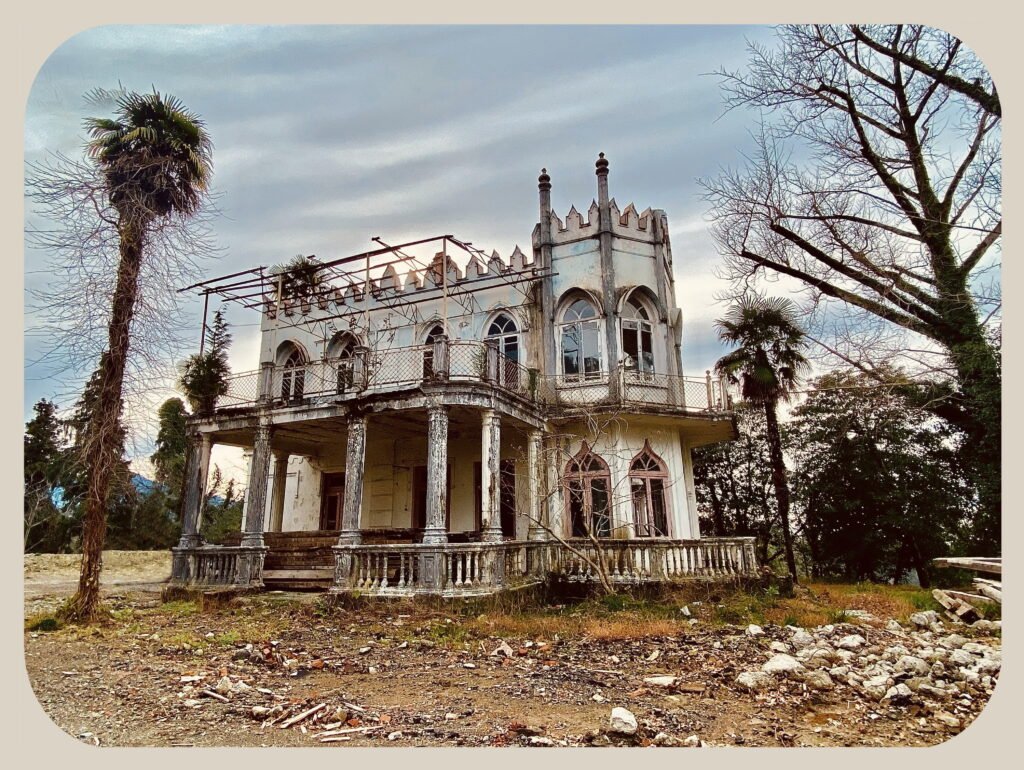 bagdonas marketing agency, სრული მარკეტინგული მომსახურება ,ფოტო/ ვიდეო გადაღება