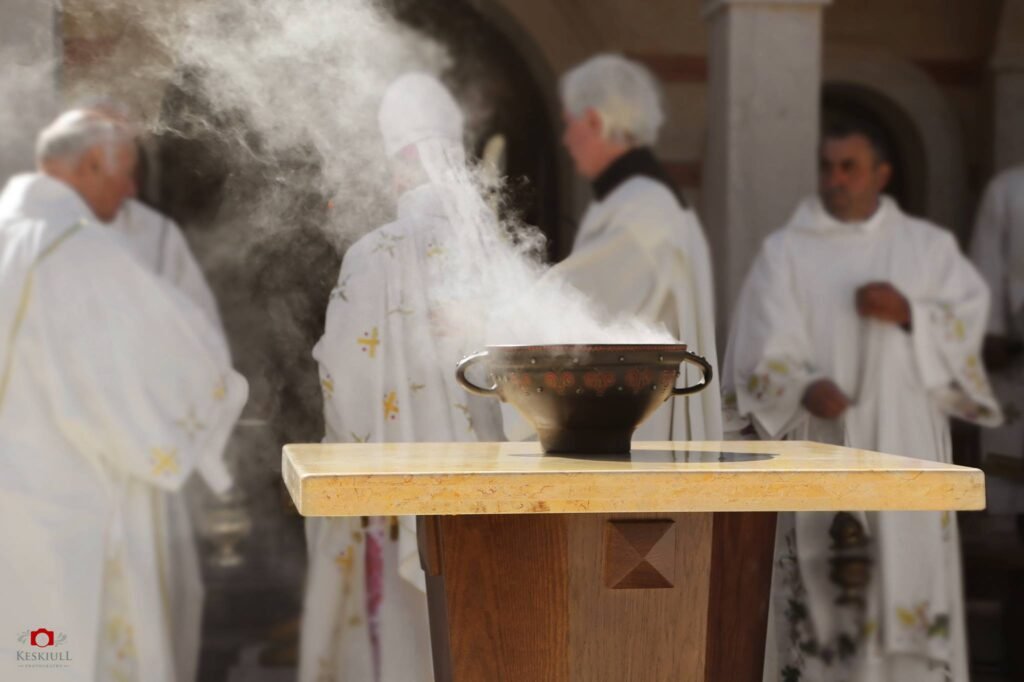 bagdonas marketing agency, სრული მარკეტინგული მომსახურება ,ფოტო/ ვიდეო გადაღება