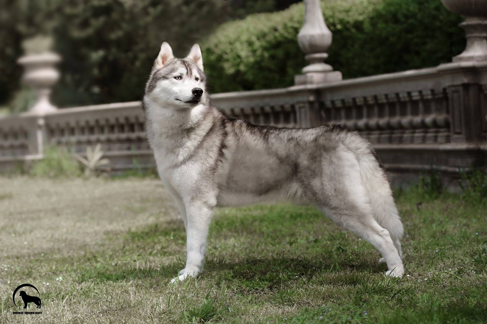 bagdonas marketing agency, სრული მარკეტინგული მომსახურება ,ფოტო/ ვიდეო გადაღება