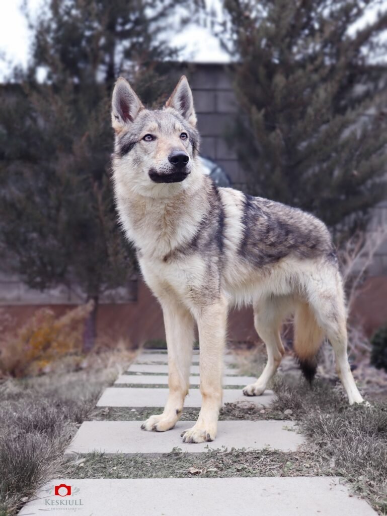 bagdonas marketing agency, სრული მარკეტინგული მომსახურება ,ფოტო/ ვიდეო გადაღება