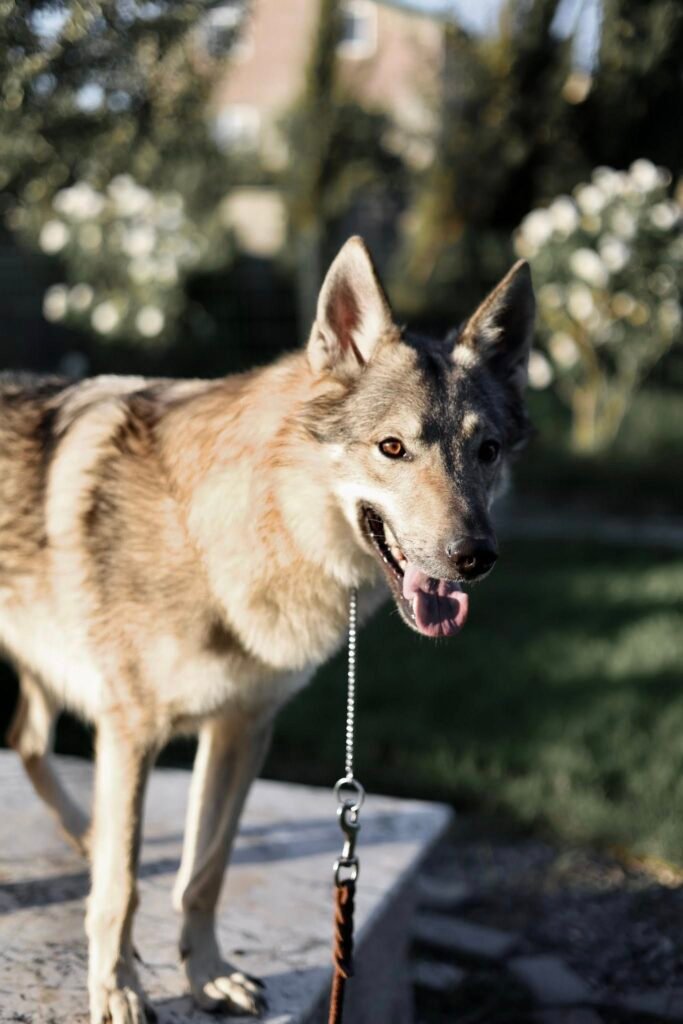 bagdonas marketing agency, სრული მარკეტინგული მომსახურება ,ფოტო/ ვიდეო გადაღება